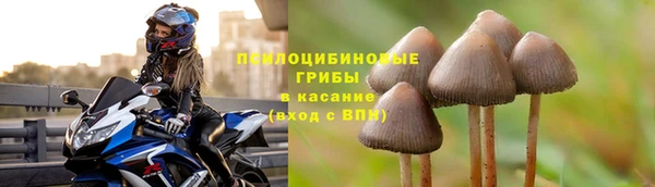 apvp Абаза