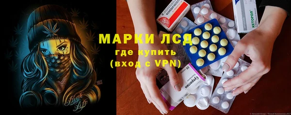 индика Магас