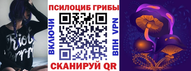 Псилоцибиновые грибы Psilocybine cubensis Анапа